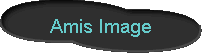  Amis Image 
