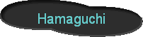 Hamaguchi