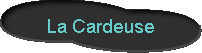 La Cardeuse 