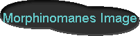  Morphinomanes Image 
