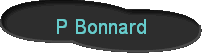 P Bonnard