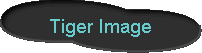  Tiger Image 