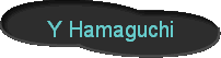 Y Hamaguchi